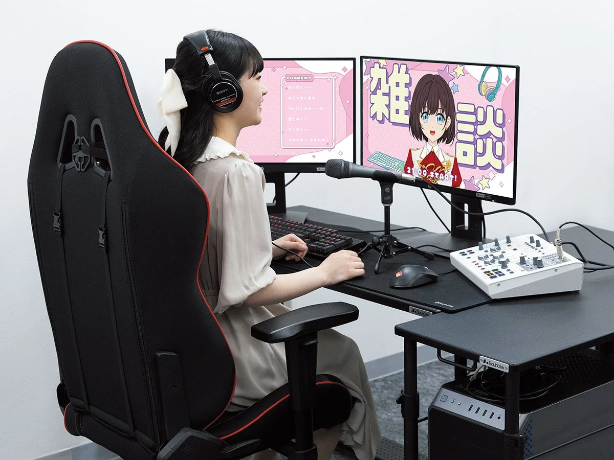 Gamer/Streamer setup