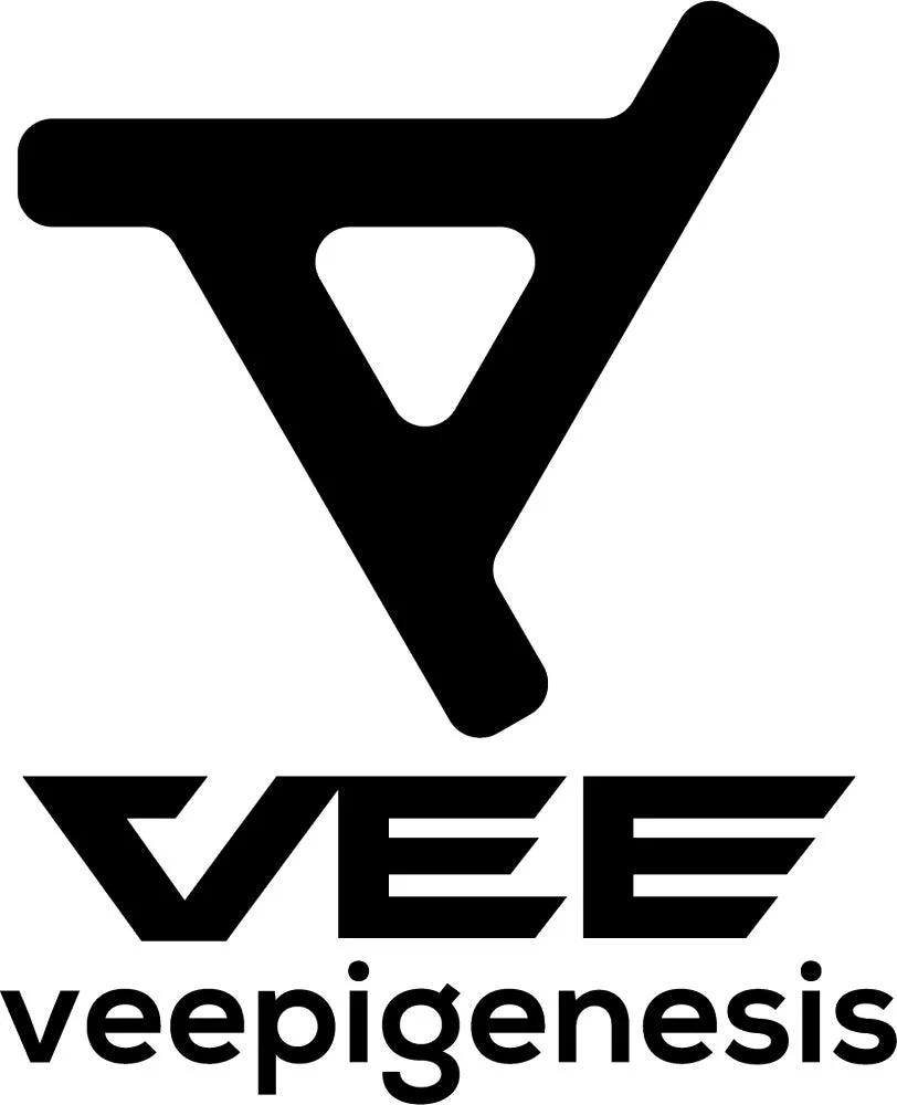 VEE Project Overview