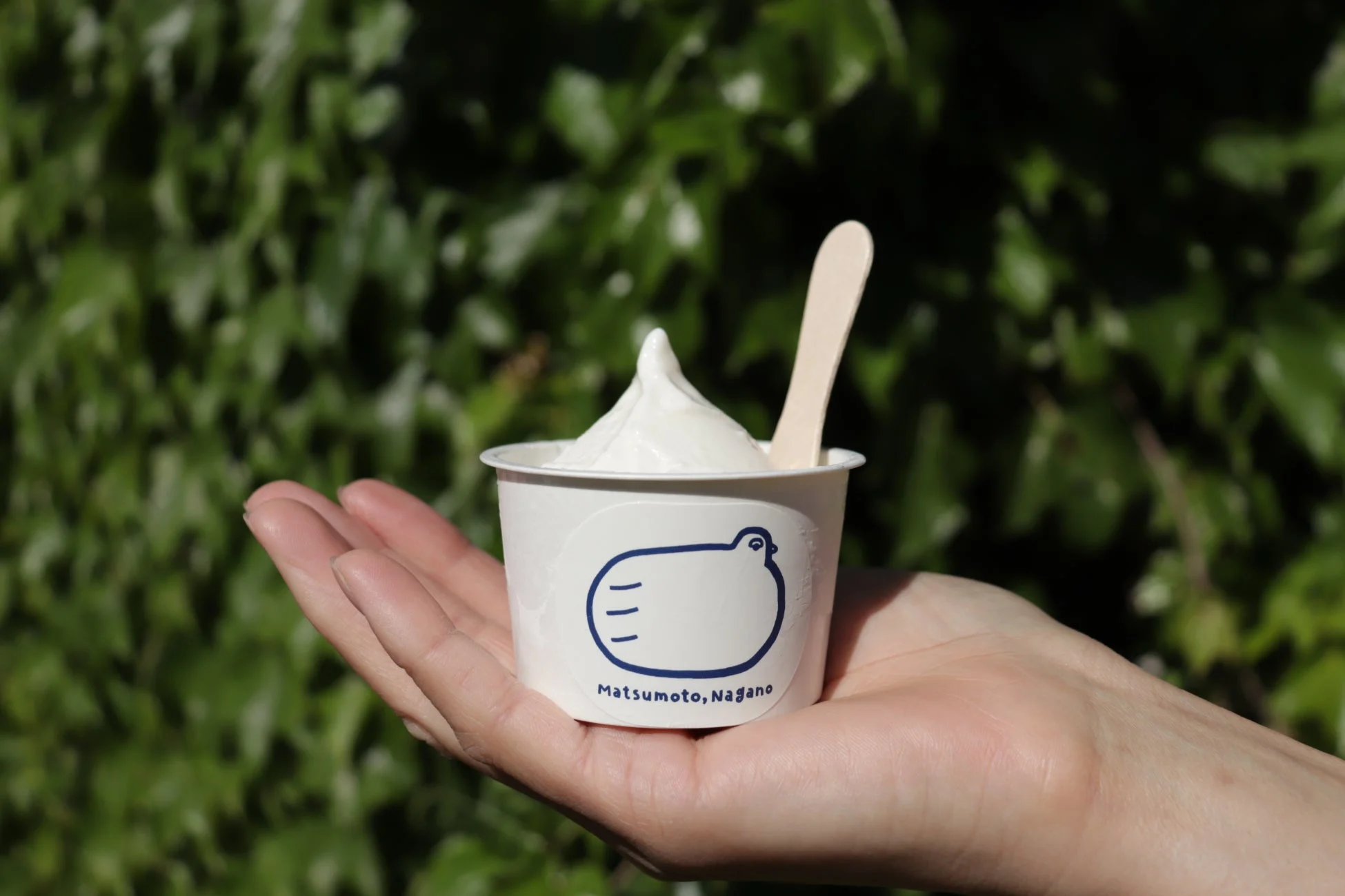 Soft cream