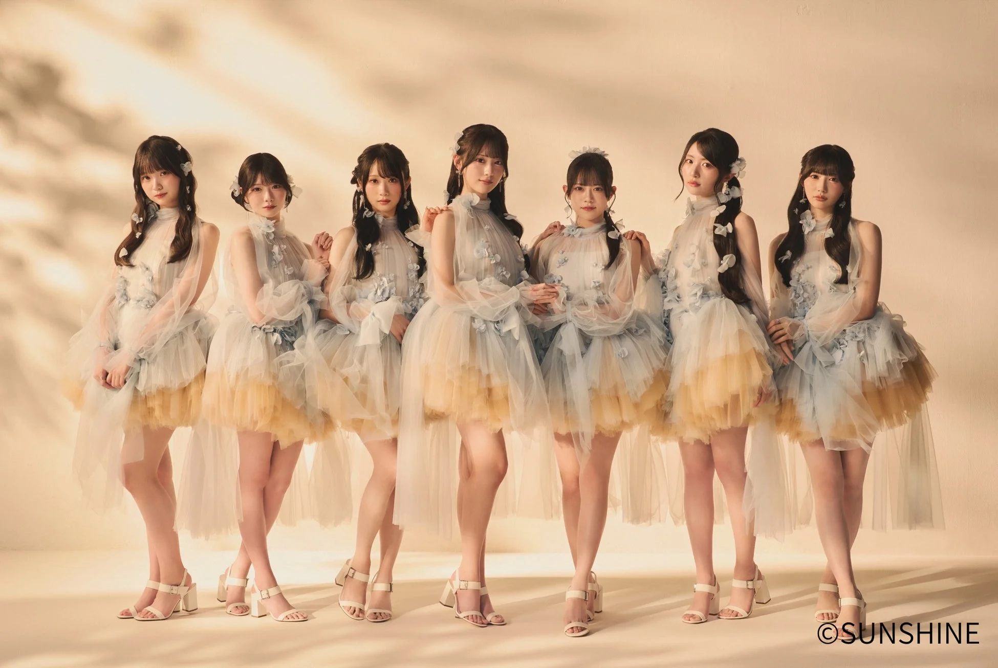 Rain Treeのメンバー