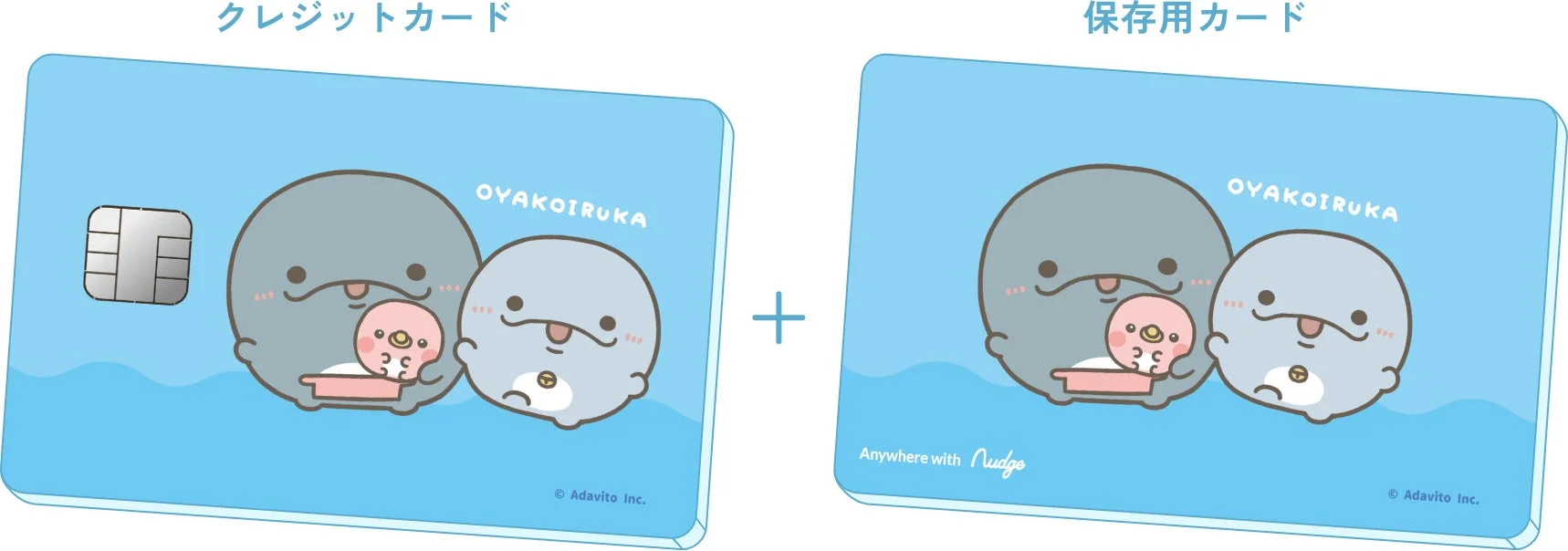親子イルカデザインのクレジットカードと保存用カード