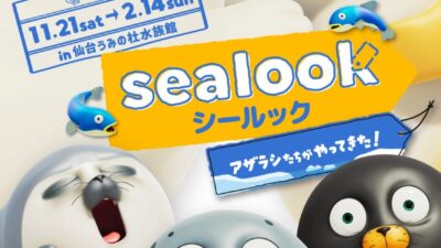 「SEALOOK」日本初！水族館とのコラボが決定！